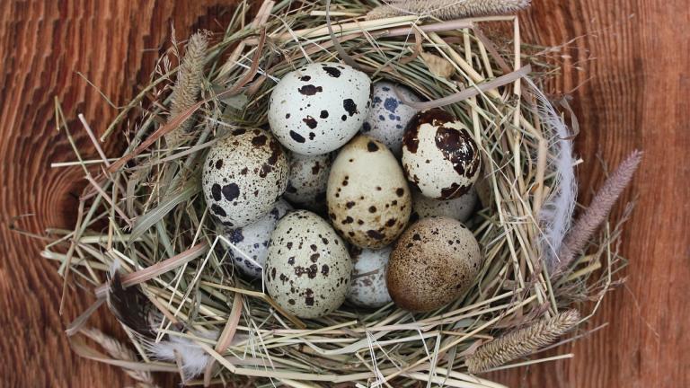 05 1 Trajnost CTA FILOZOFIJA ZERO EMISSION LIVING