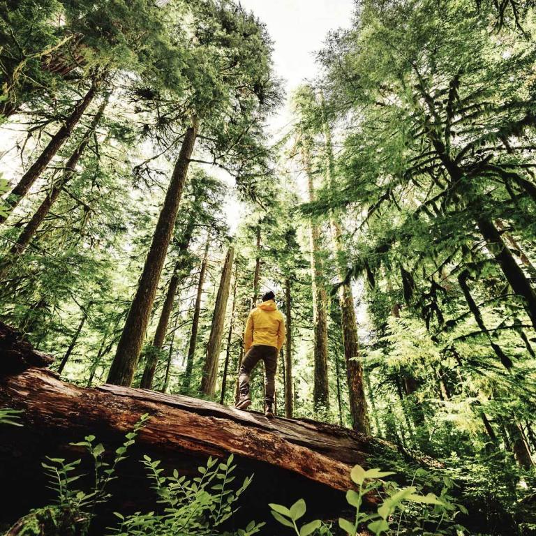 Lumar 00 6 Home ZAUPAJTE IZKUSNJAM 02